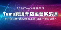 2024Temu羳ӪʵսΣע/ѡƷ/˼ϼ/ճǧʵս