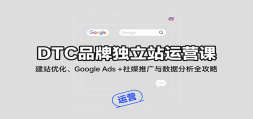 DTCƷƶվӪΣվŻGoogle Ads + ýƹݷȫ