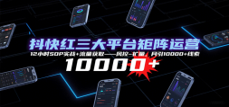 ƽ̨Ӫ12СʱSOPʵս+ȡ--10000+