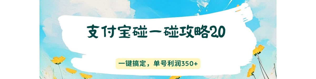 ֧������һ������2.0��һ���㶨����������350+