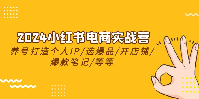 2024小红书电商实战营，养号打造IP/选爆品/开店铺/爆款笔记