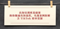 ѵΣ̣ͨʵս⣬ TikTok Դ
