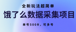 ôݲɼĿȫ淨򵥣500Rɶ