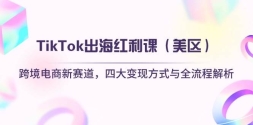 TikTokΣ羳Ĵַʽȫ̽