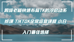 羳ϰٲTKϵͳ TIKTOKȫӪγ Сѡ