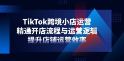 TikTok羳СӪͨӪ߼ӪЧ