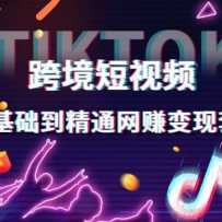 羳ƵTIKTOK 0ͨ׬׿Σ羳Ƶվּ