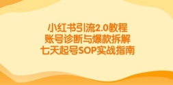 小红书引流2.0教程，账号诊断与爆款拆解，七天起号SOP实战指南