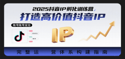 2025IPѵӪ߼ֵIPӪϵ